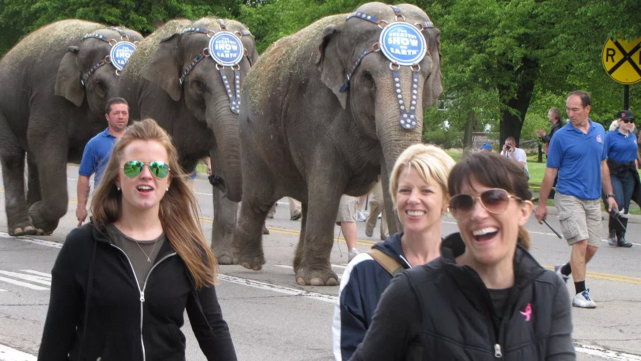 Three people smiling and walking past elephants adorned with 'The Greatest Show on Earth' headpieces, participating in a parade